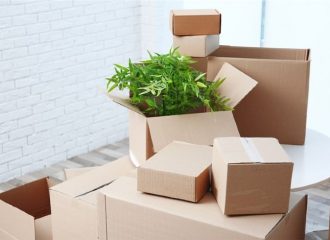 Safely Move Your Plants